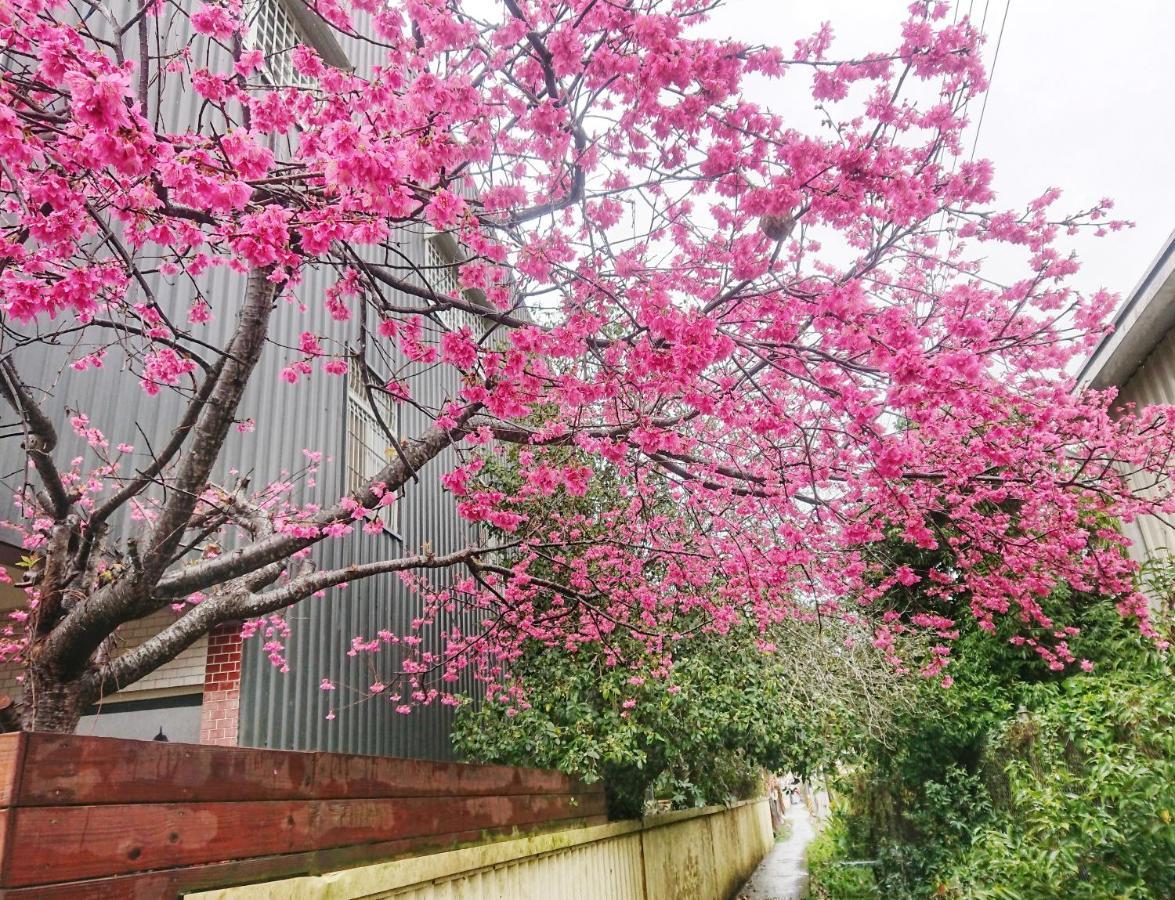 Xinshe Xiao Shu Time Homestay Ngoại thất bức ảnh