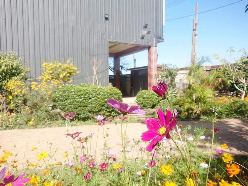 Xinshe Xiao Shu Time Homestay Ngoại thất bức ảnh